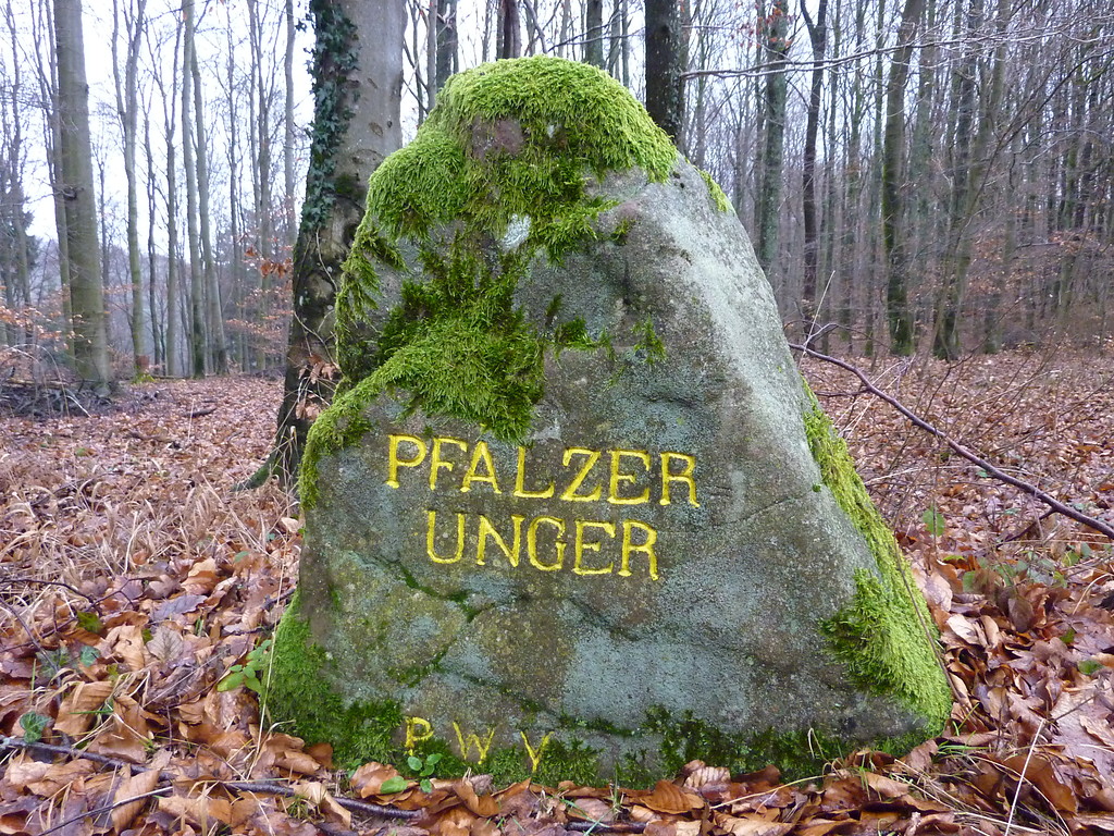 Ritterstein Nr. 19 Pfälzer Unger nördlich von Bobenthal (2012)