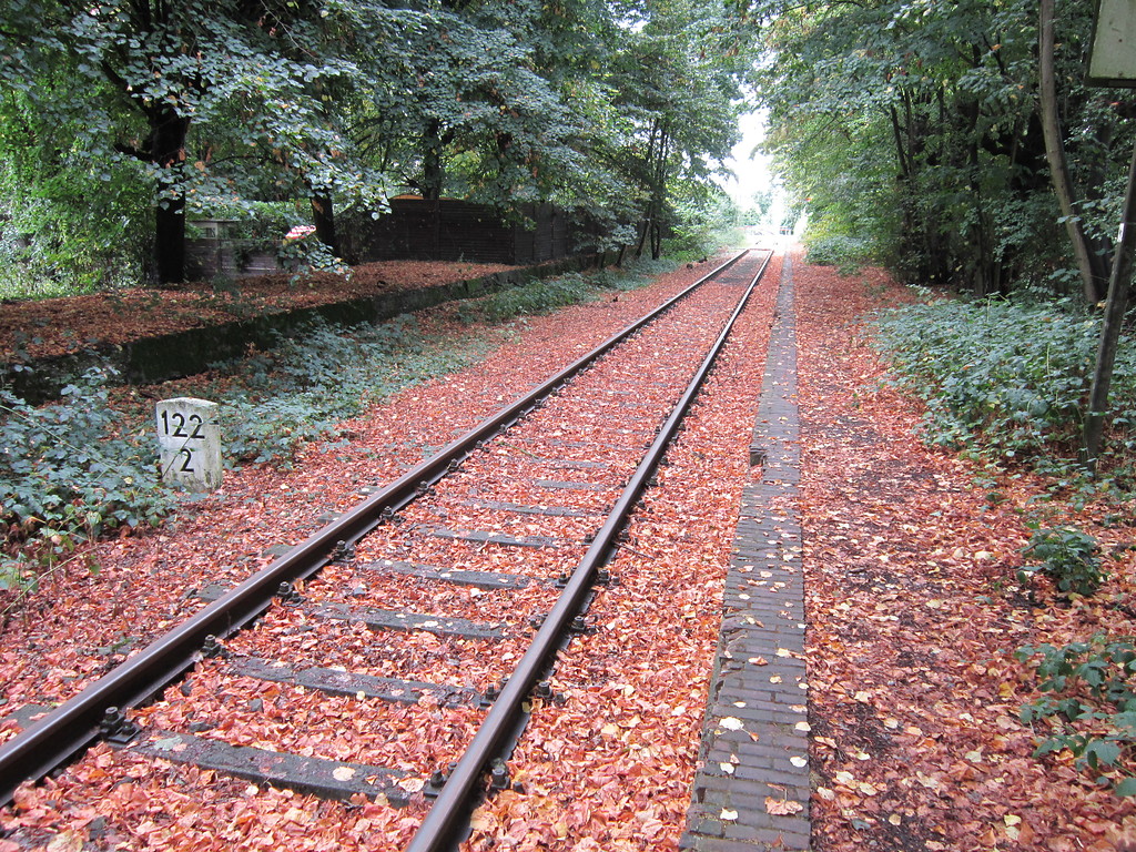 Bahnsteigkante (rechts) des ehemaligen Haltepunktes Donsbrüggen, von Osten gesehen (2013)