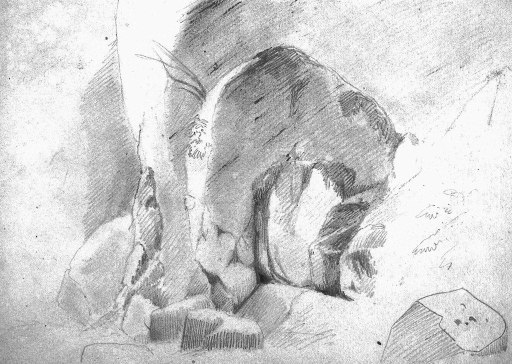 Die Bleistiftzeichnung von Friedrich August de Leuw aus dem Oktober/November 1841 zeigt einen Felsen mit Höhleneingang im Neandertal. Das Format ist 17,5 mal 13 Zentimeter.