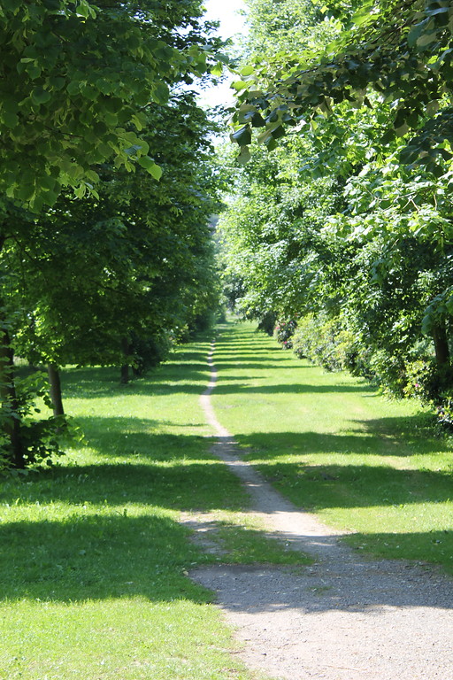 Das Bild zeigt eine Impression aus dem Schlosspark von Diersfordt in Wesel (2012)