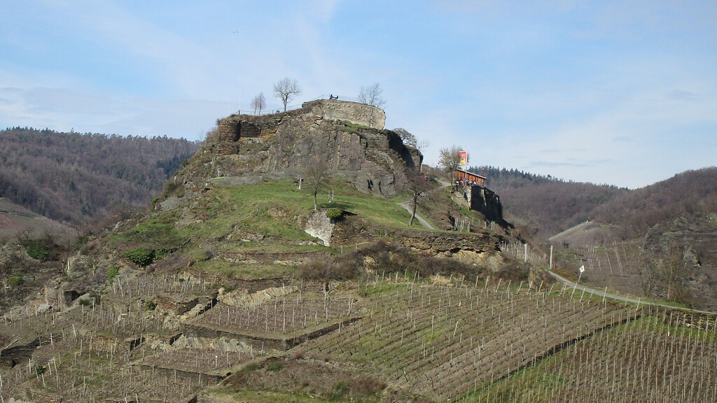 Die Burgruine Saffenburg bei Mayschoß steht inmitten von Weinbergen auf einer 253 Meter über NN befindlichen Anhöhe (2021).
