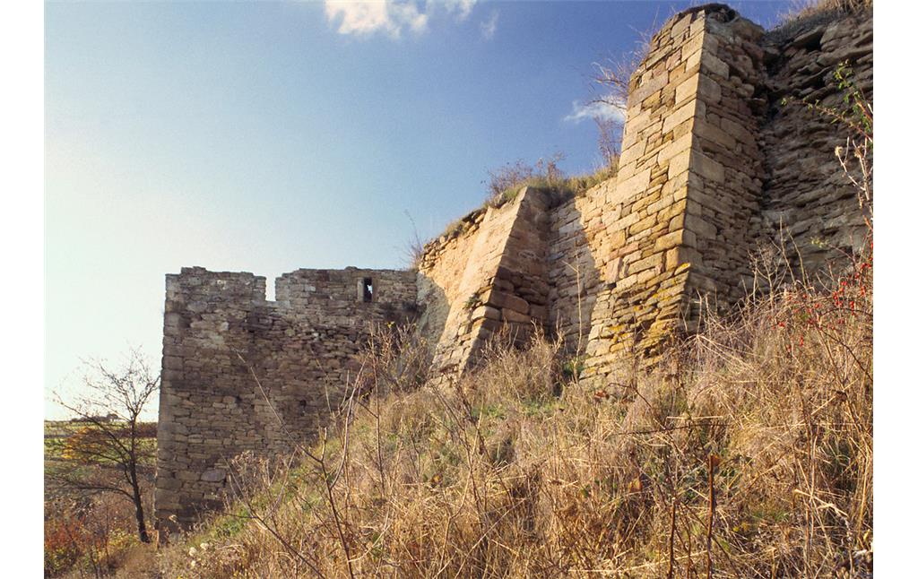 Ringmauer mit Flankierungsturm von Südosten