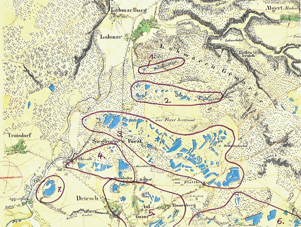 Die Teichlandschaft im Gebiet der "Bergischen Heideterrasse" zwischen Lohmar und Siegburg, markiert auf dem entsprechenden Ausschnitt der Preußischen Uraufnahme von um 1845 (Ralf Schneider, 2014).