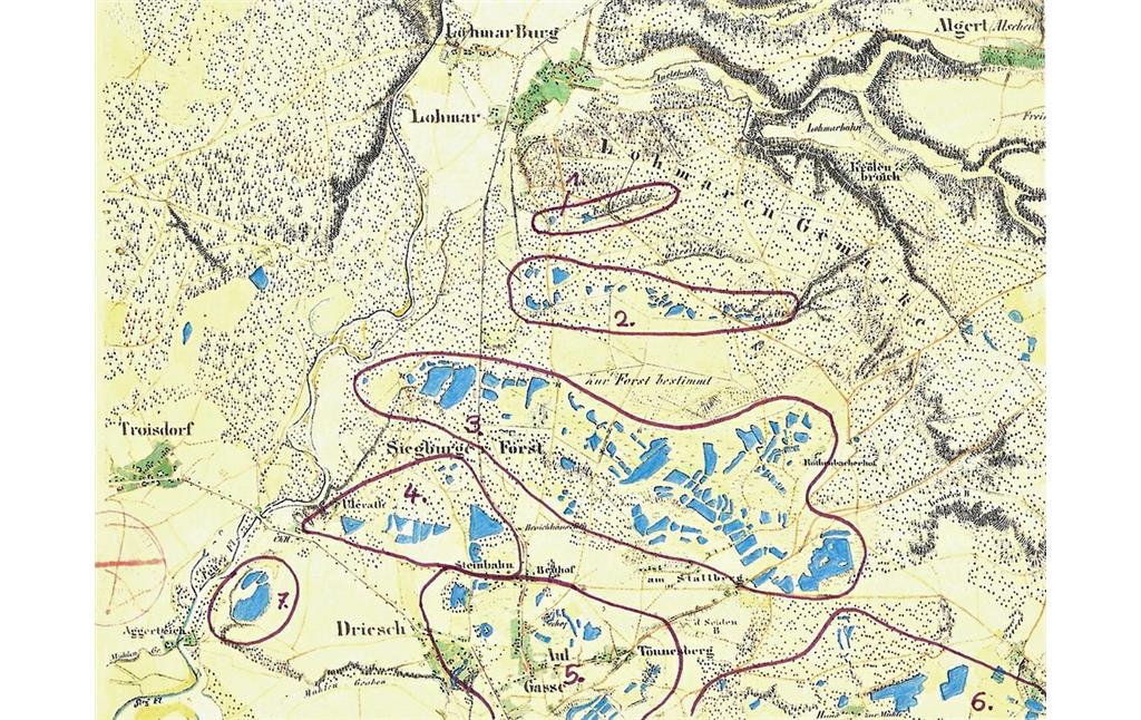 Die Teichlandschaft im Gebiet der "Bergischen Heideterrasse" zwischen Lohmar und Siegburg, markiert auf dem entsprechenden Ausschnitt der Preußischen Uraufnahme von um 1845 (Ralf Schneider, 2014).