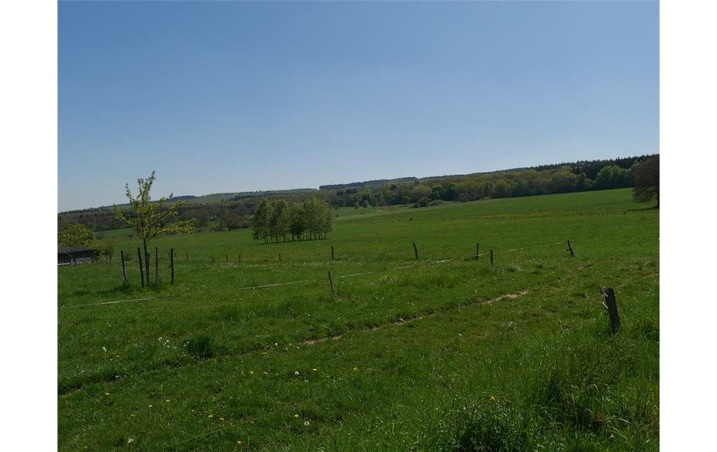 Grünlandflächen bei der Lehnmühle bei Schöneberg, Blickrichtung Norden auf den ersten Soonwaldhöhenzug (2017)