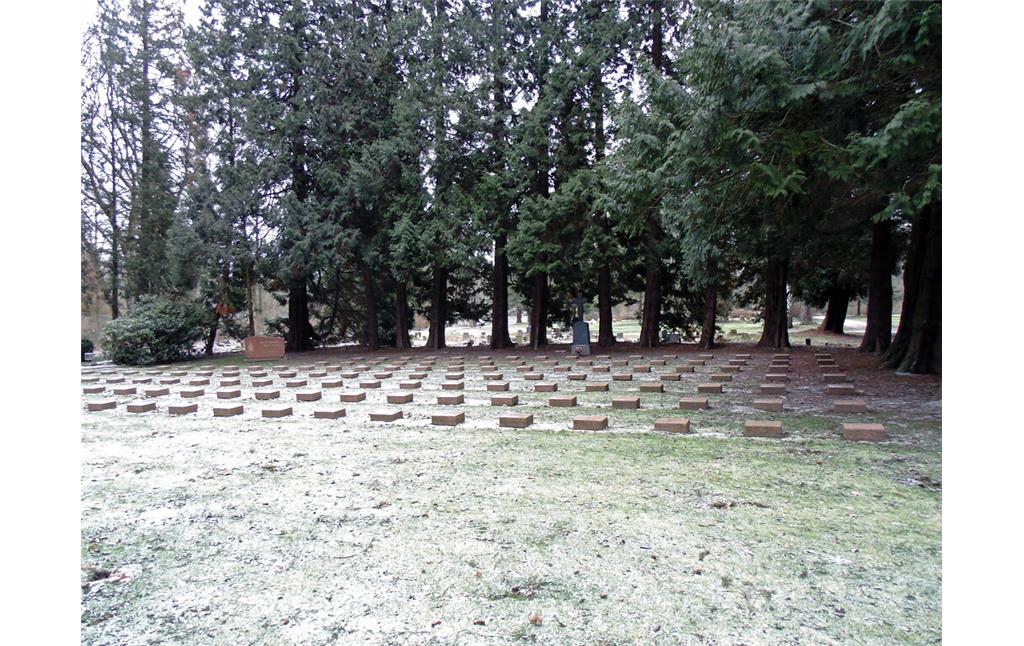 Blick auf das Gräberfeld für sowjetische Kriegsgefangene auf dem Westfriedhof in Köln-Vogelsang (2021).