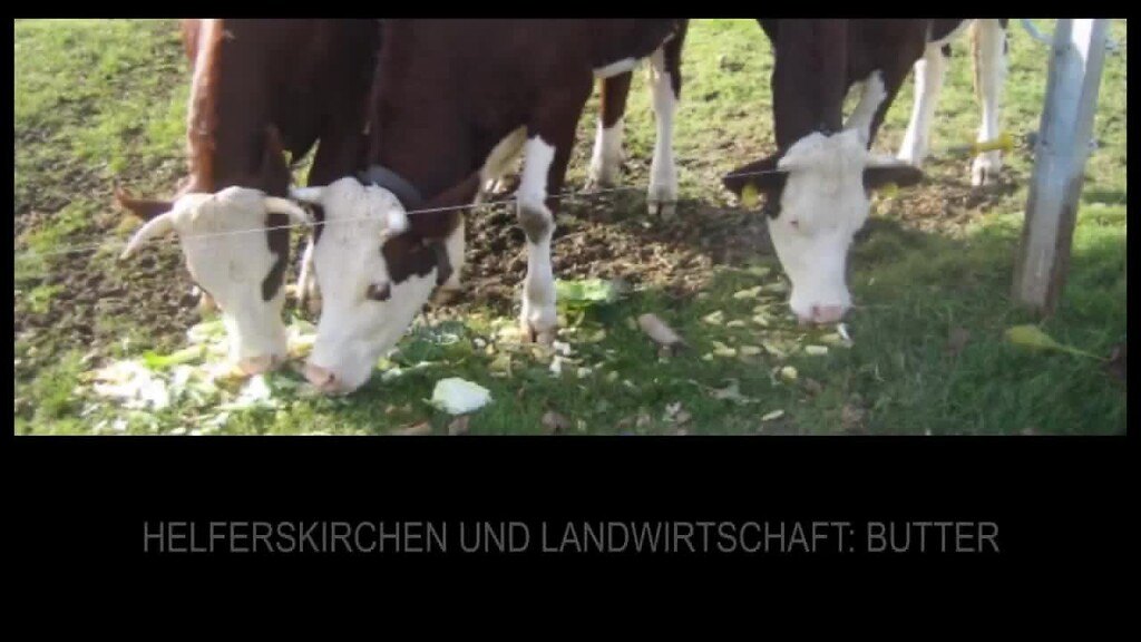 Video mit Menschen aus Helferskirchen zur Milchwirtschaft und Butterherstellung im Ort (2012)