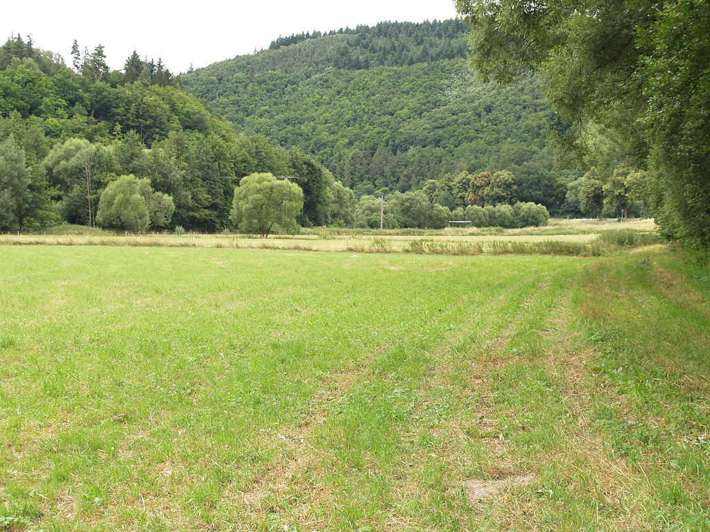 Lage des Kleinkastells Adolfseck im Tal der Aar bei Bad Schwalbach im Rheingau-Taunus-Kreis (2008)