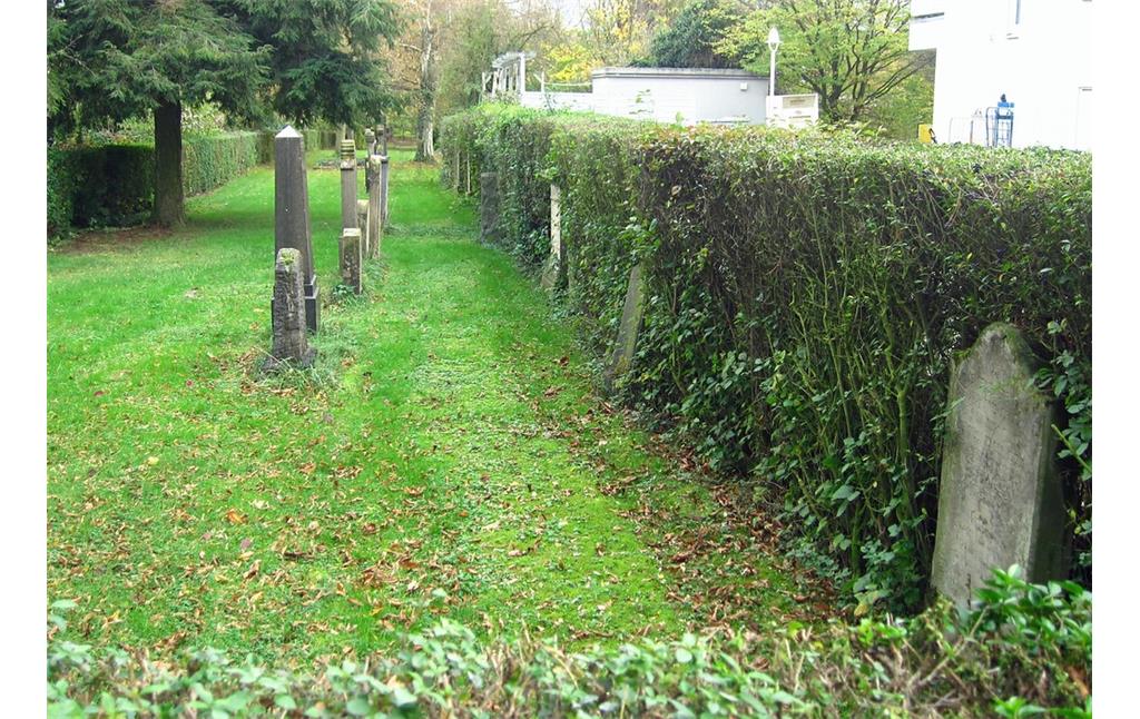 Blick auf den Judenfriedhof Poppelsdorf in Endenich vom Kollegienweg aus (2013).