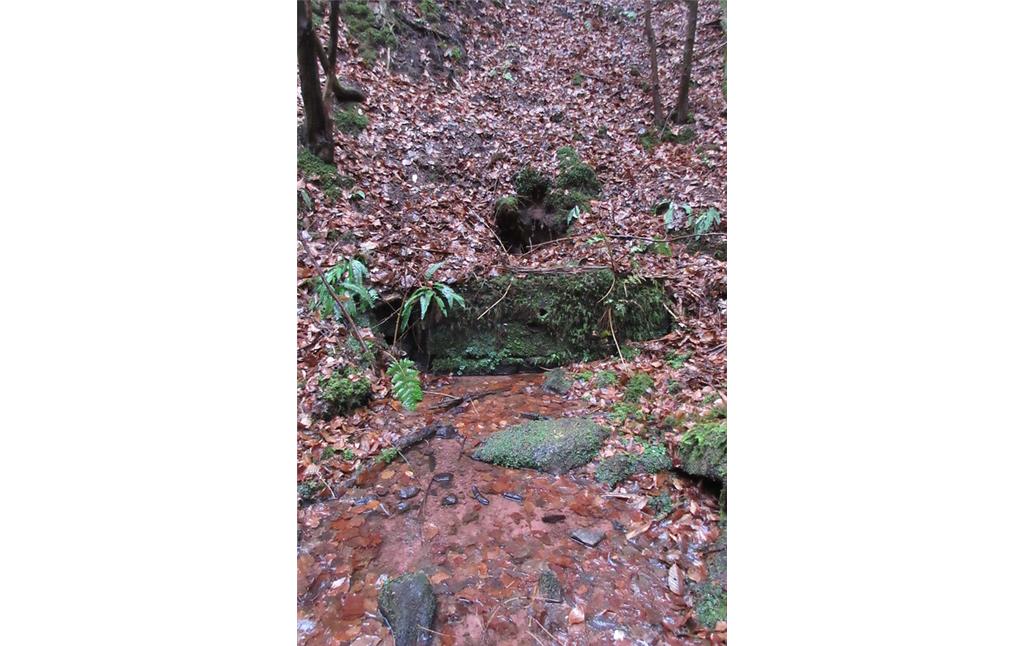 Quelle des Legelbaches oberhalb des Großen Woogs am Legelbach (2018)