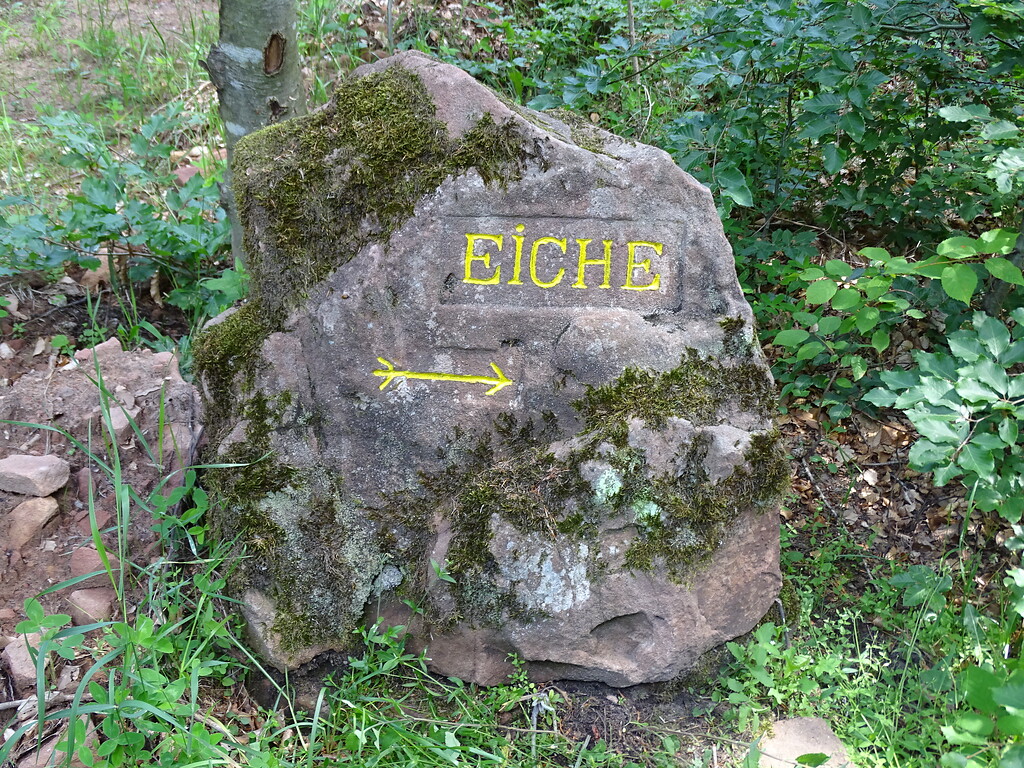 Ritterstein Nr. 119 Eiche westlich von Esthal (2019)