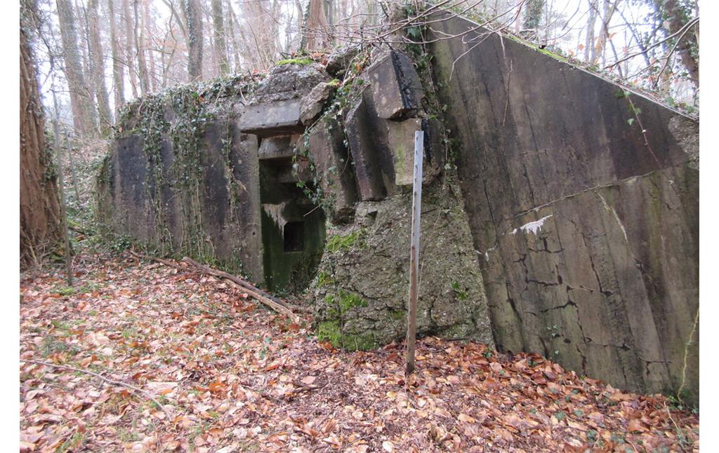 Bunker-Relikte in der Hauptkampflinie des Westwalls im Bienwald (2018)