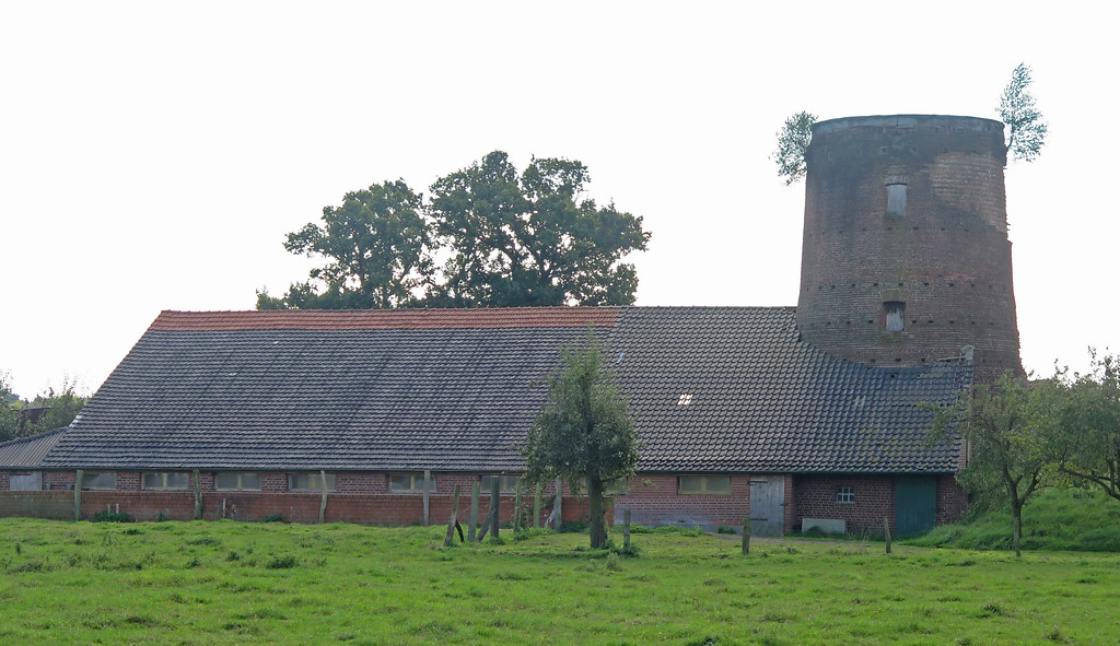Blick von Norden auf die Reste der ehemaligen Windmühle in Schermbeck-Weselerwald (2014).