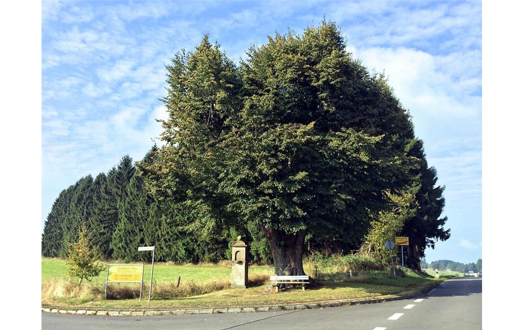 Naturdenkmal Dicke Linde in Marienheide (2016)