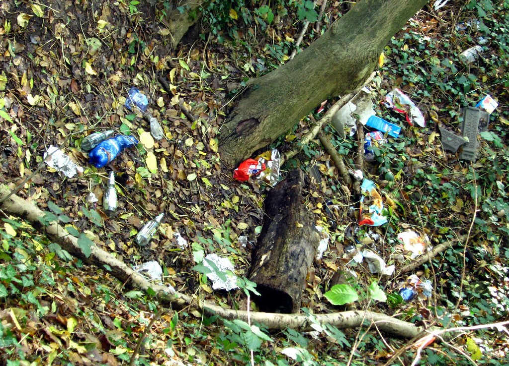 Verschmutzung durch Müll - Grube Versöhnung bei Altenrath (2011)
