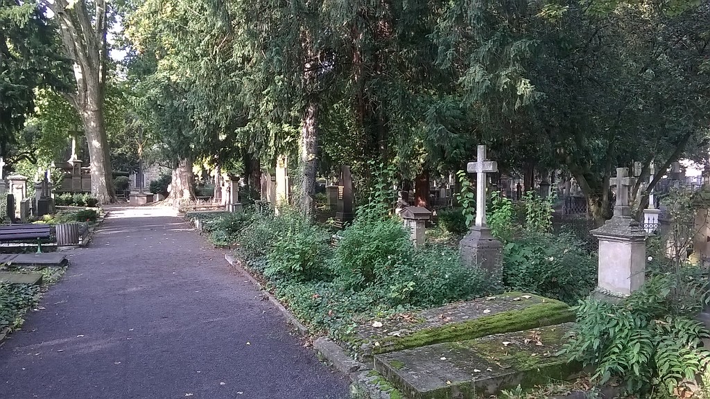 Gräber und Grabmale auf dem Alten Friedhof in Bonn-Nordstadt (2014).