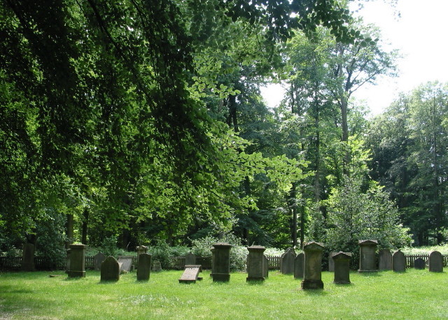 Jüdischer Friedhof am Blomericher Weg in Ratingen, Gesamtansicht des Gräberfeldes (2009).
