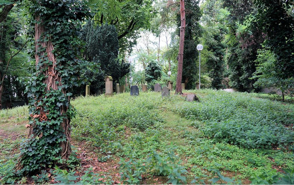 Gräberfeld im Innenbereich des Jüdischen Friedhofs in Dormagen-Zons (2017).
