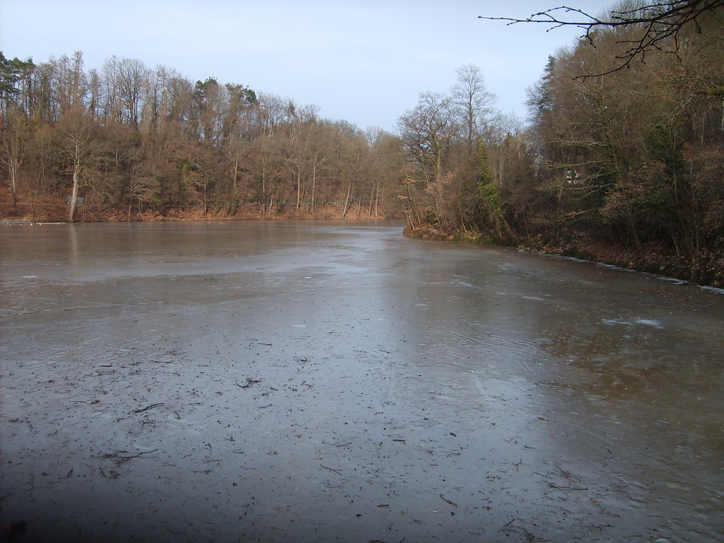 Zugefrorener Tiefer See in der Klosterlandschaft Maulbronn (2013)