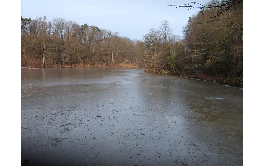 Zugefrorener Tiefer See in der Klosterlandschaft Maulbronn (2013)