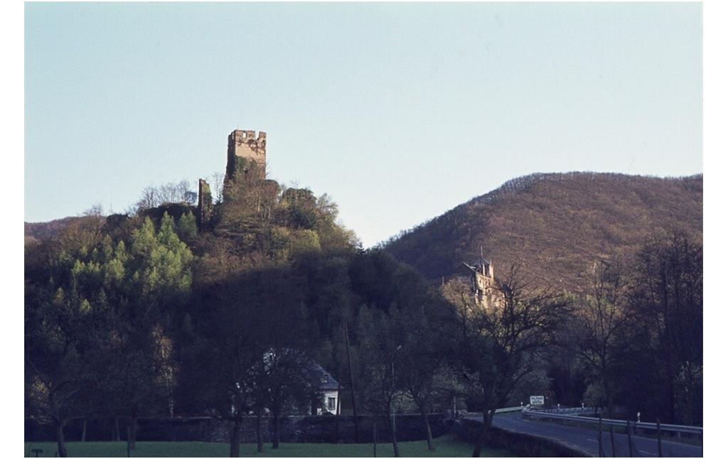 Burg Treis und Wildburg Nordansicht (vor 1976)