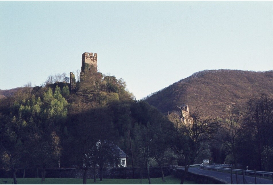 Burg Treis und Wildburg Nordansicht (vor 1976)