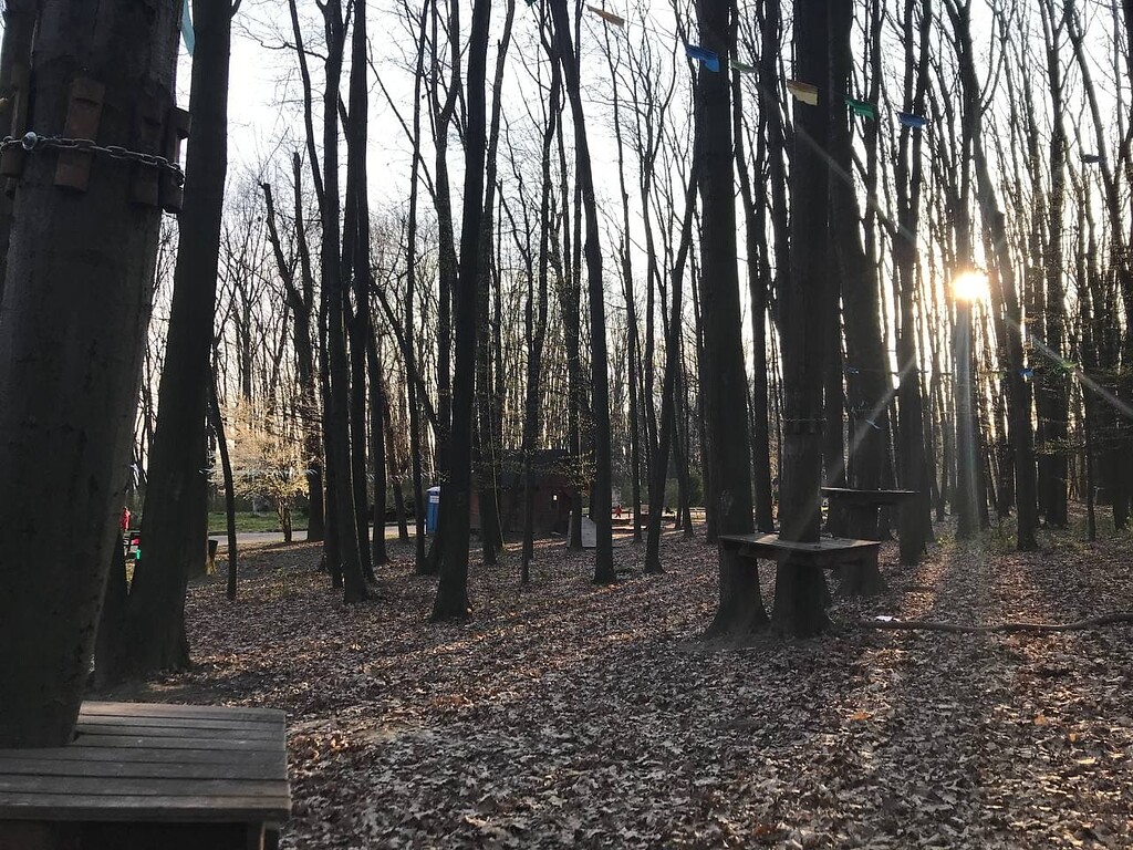 Obstacle course "LaZanka" in Znesinnia Park (2021)