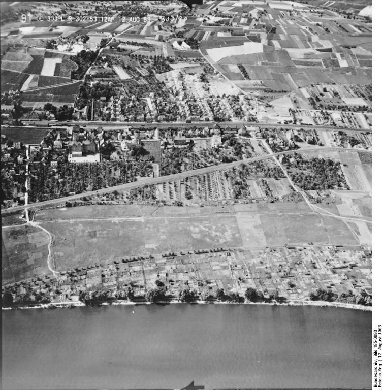 Die Schönborn'sche Aue bei Geisenheim im Jahre 1953 im Luftbild