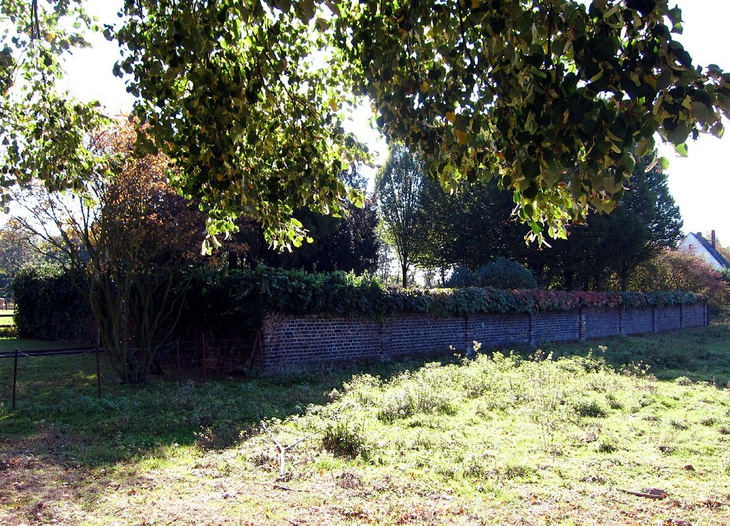Jüdischer Friedhof Lerchenstraße in Mondorf, Ansicht von Norden (2011).
