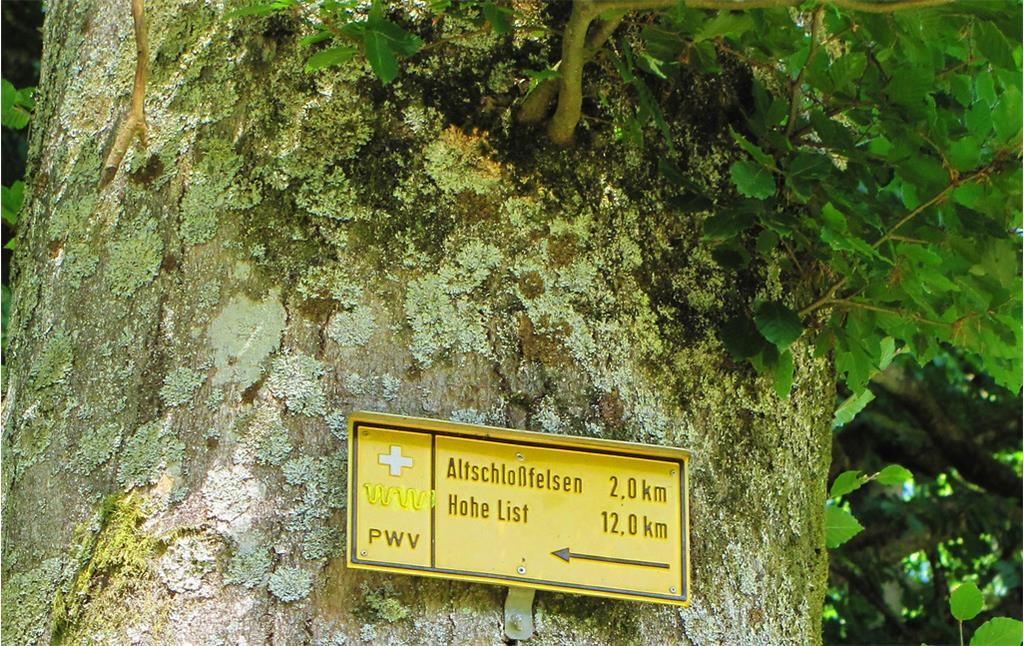 Richtungsweiser zum Altschlossfelsen mit Wegmarkierung des Pfälzerwaldvereins (2014).