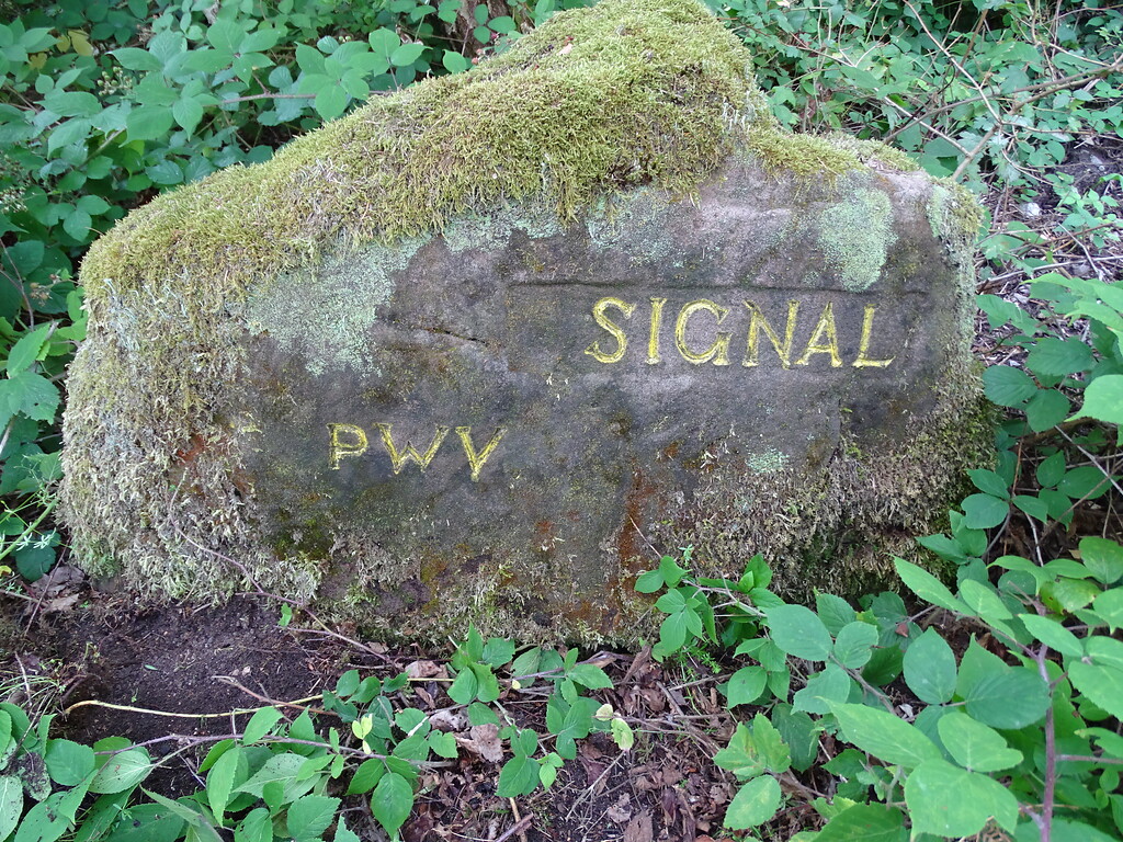 Ritterstein Nr. 27 Signal südwestlich von Böllenborn (2020)