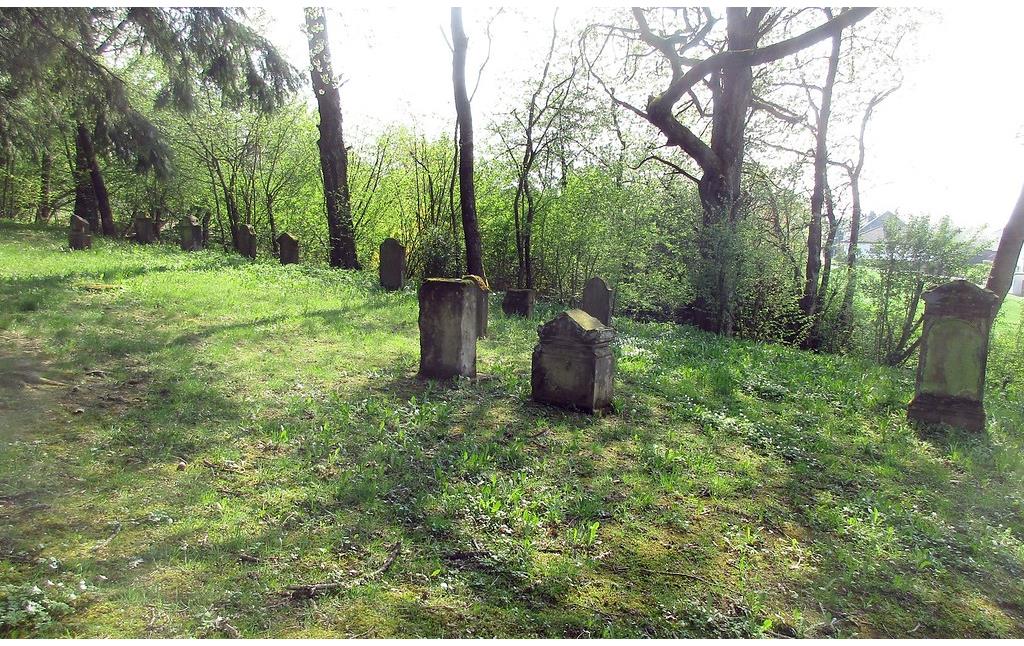 Jüdischer Friedhof Lutzerath: Das Gräberfeld aus nördlicher Ansicht (2018).