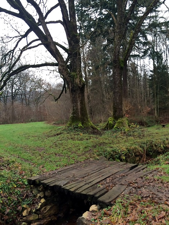 Ehemalige Zuwegung zur Abentheuerer Hütte mit einer Holzbrücke über einen Kanal des Wassersystems der Hütte (2015).