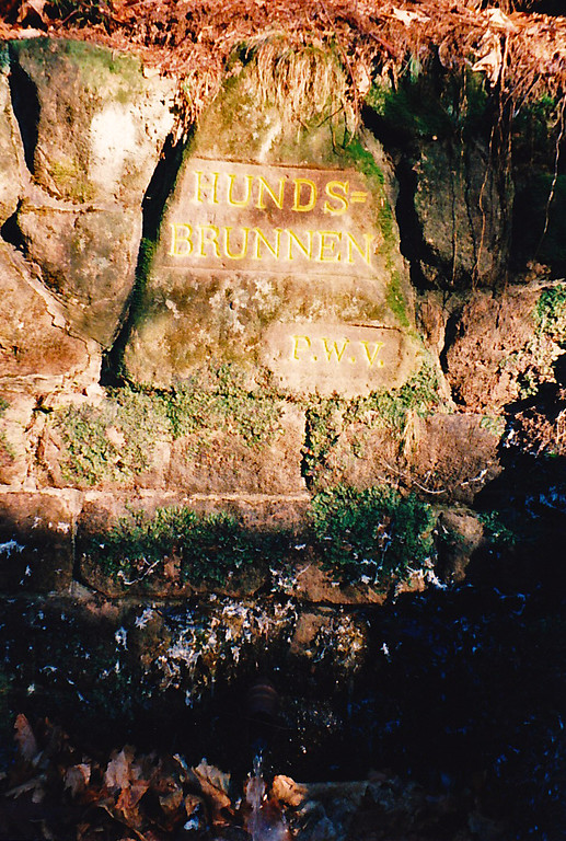 Ritterstein Nr. 166 "Hundsbrunnen" bei Hochspeyer (2000)