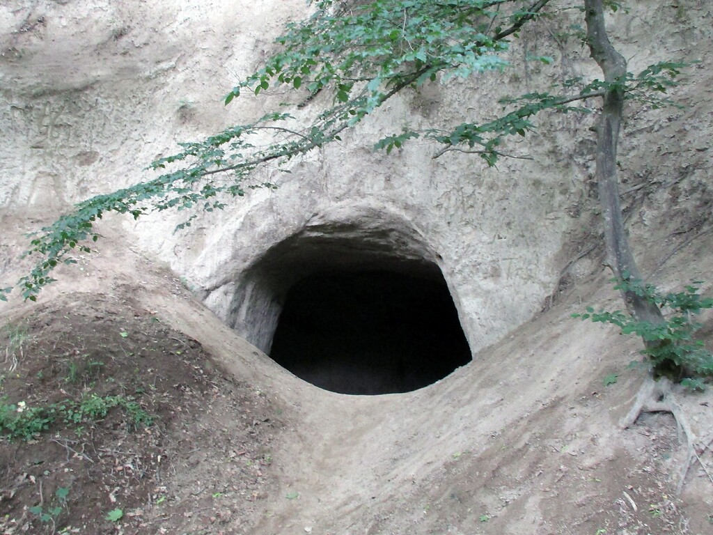 Zugang in eine der Trasshöhlen im Tal des Brohlbachs bei Brohl-Lützing, gelegen auf der Route des Wanderwegs "Höhlen- und Schluchtensteig" (2020).