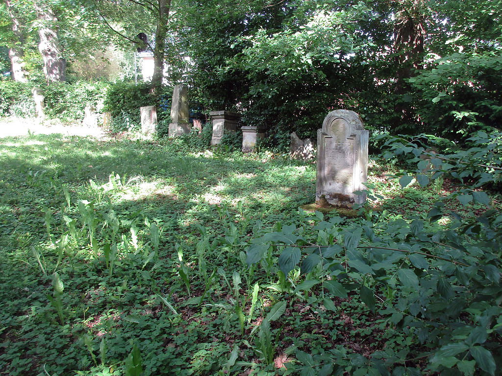 Gräberfeld auf dem jüdischen Friedhof in Hürtgenwald-Gey (2017).