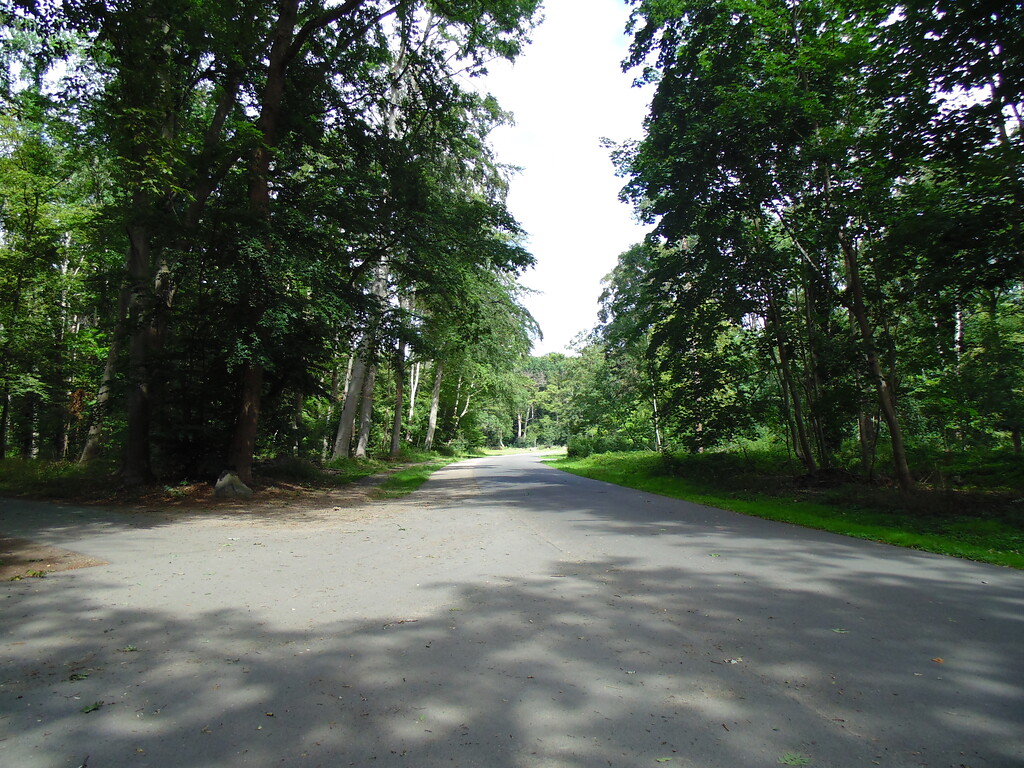 Die frühere Motorsport-Rennstrecke im Lindenthaler Stadtwald ist heute wieder als Teil der idyllischen Spazierwege des Rundgangs im Park nicht mehr als solche zu erkennen (2020).