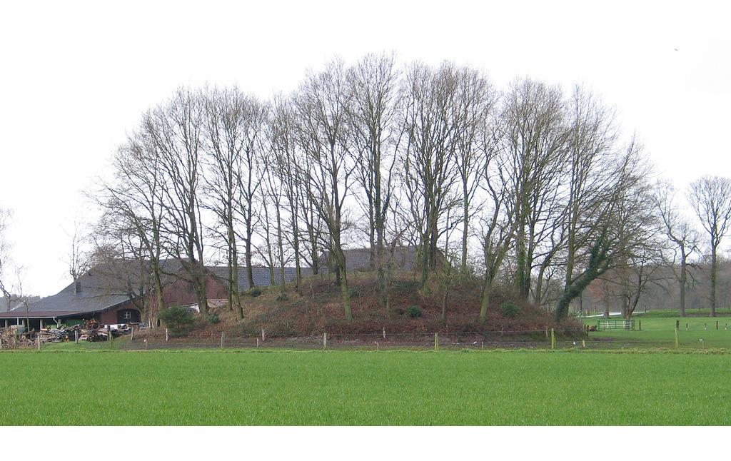 Wiese, auf der die Motte am Kamphaushof als deutliche Erhöhung zu erkennen ist. Die Motte ist mit hohen Bäumen und Sträuchern bewachsen, im Hintergrund ist ein Hof zu erkennen (2007).