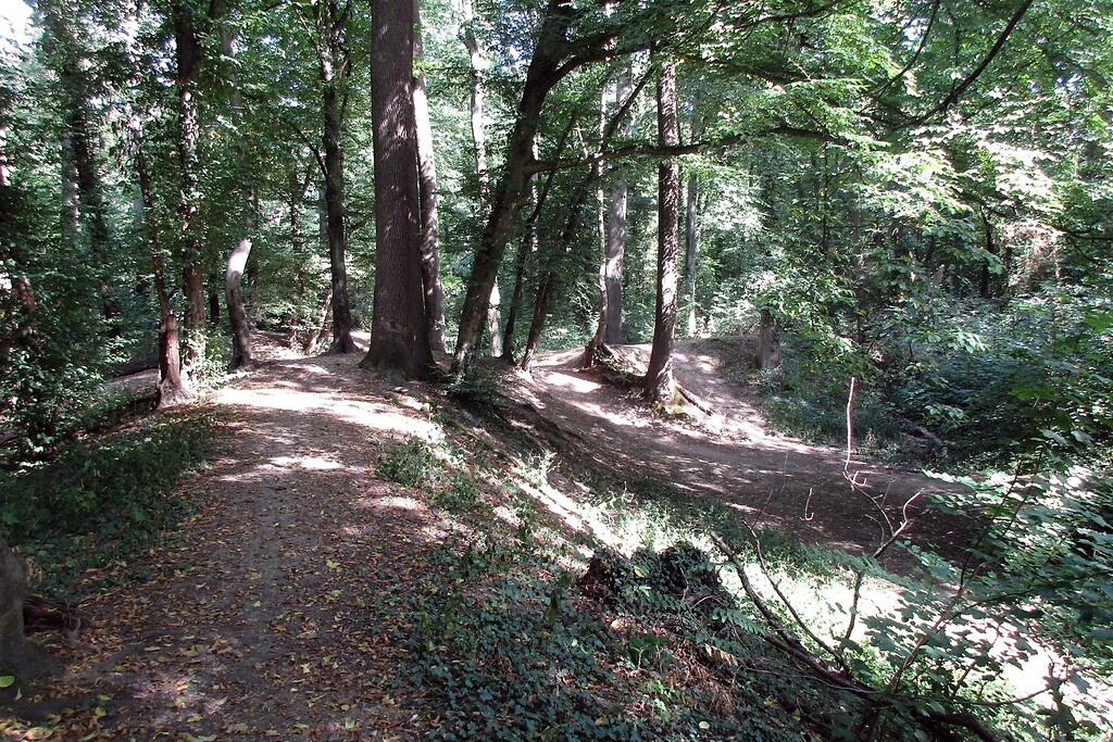 Geländespuren in Form von Wällen im Bereich der "Alten Burg" im Stadtpark Kerpen-Horrem, vermutlich Überreste des einstigen Mottenhügels (2022).