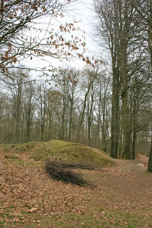 Großsteingrab "Langbett Albersdorf 53" im Steinzeitpark Dithmarschen (2019)