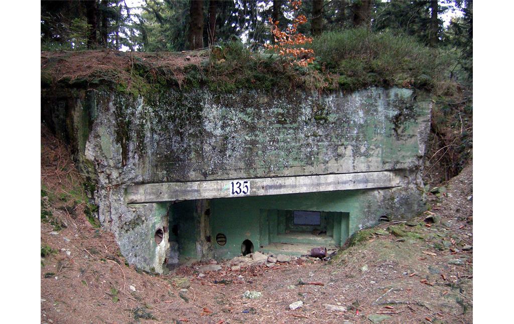 Die Bunker im Waldgebiet "Buhlert" bei Simmerath (2007)