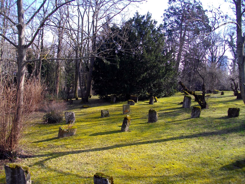 Gräberfeld auf dem jüdischen Friedhof "alter Judensand" in Mainz (2015)