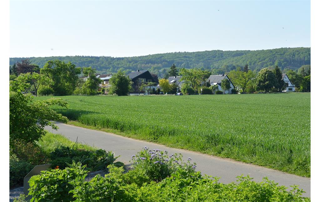 Landwirtschaftliche Flächen und Ortsrand von Sinzig-Bad Bodendorf (2014)