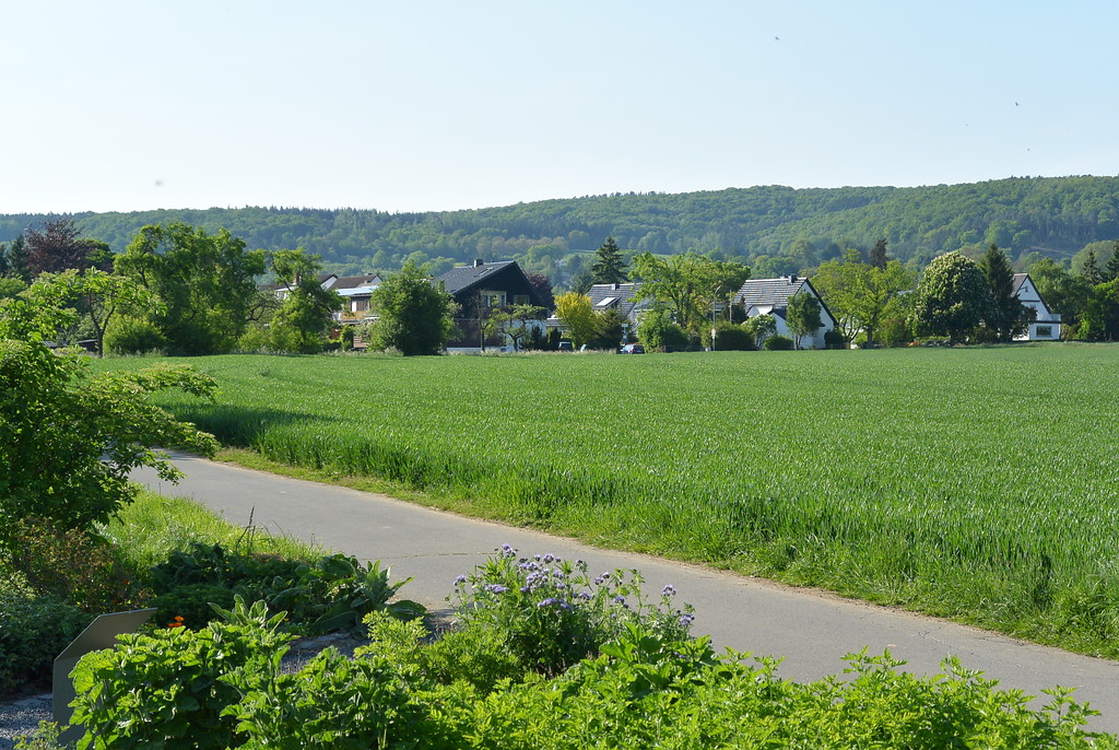 Landwirtschaftliche Flächen und Ortsrand von Sinzig-Bad Bodendorf (2014)