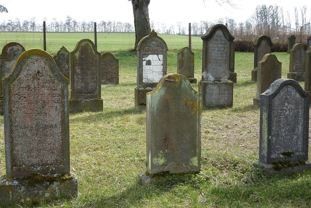 Blick über das Gräberfeld des jüdischen Friedhofs in Mertloch (2010).