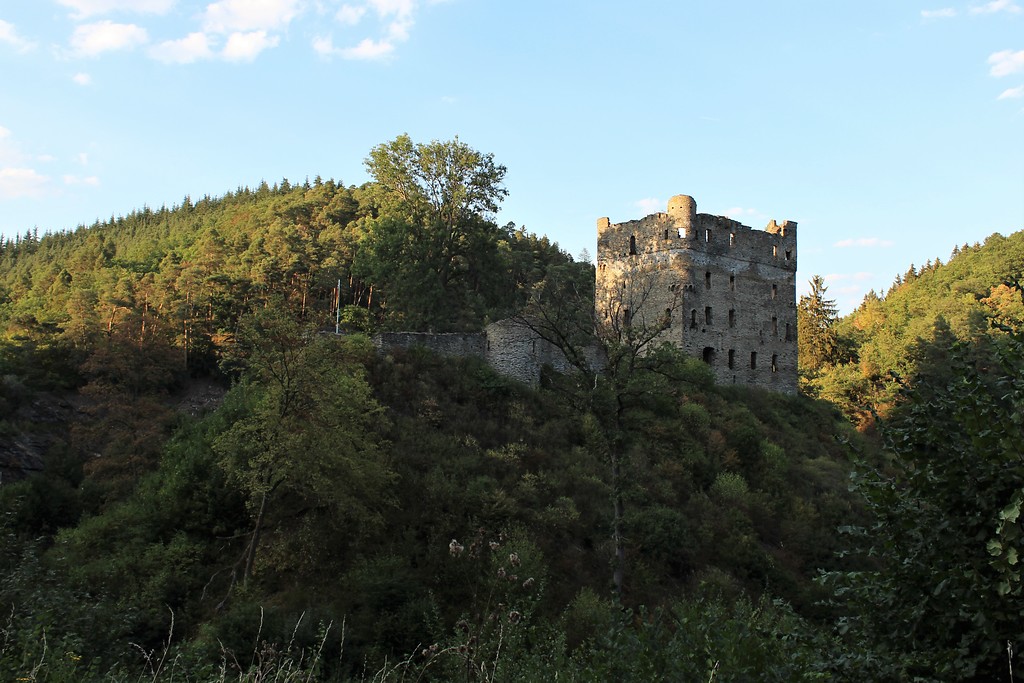 Blick aus südwestlicher Richtung auf die Burgruine Balduinseck (2018).