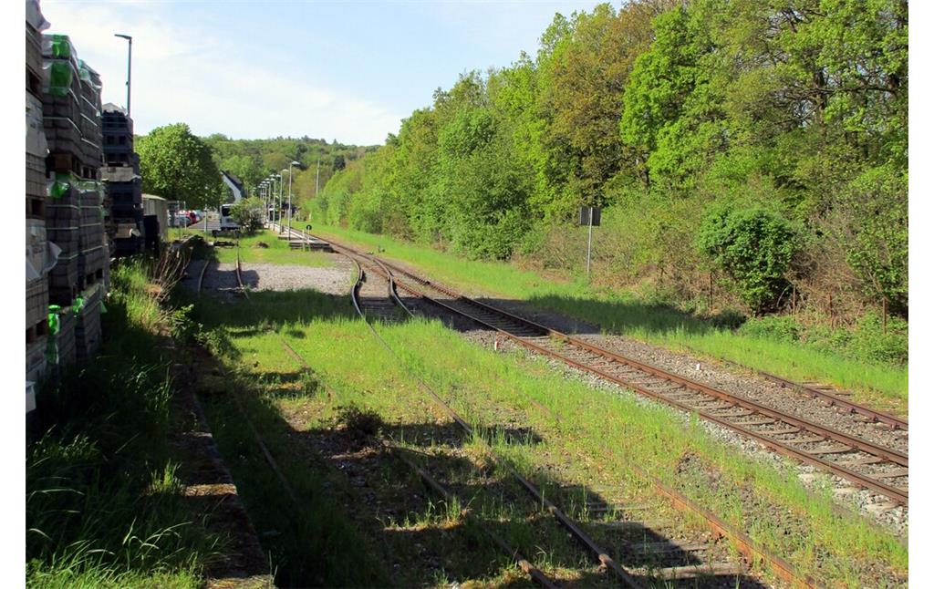 Die Abzweigung des Industriestammgleises in Richtung des Industriegebiets am Bahnhof der Eifelquerbahn in Kaisersesch (2023).