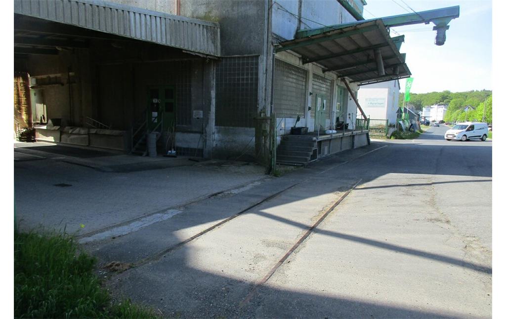 Die noch in Resten erkennbare Abzweigung des Industriestammgleises Kaisersesch zur Raiffeisen-Warenzentrale (RWZ) am Bahnhof in Kaisersesch (2023).