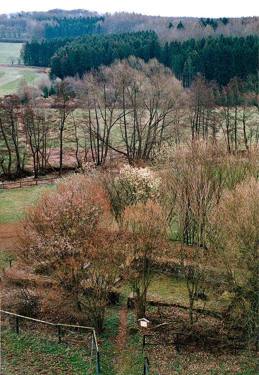Die Stumpe Kirch, die sogenannte Marcellinuskirche bei Schotten-Burkhards im Vogelsbergkreis von Nordwesten aus gesehen (2004)