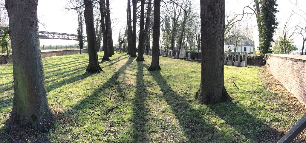 Der jüdische Friedhof und Teile der Begrenzungsmauer in Elsdorf